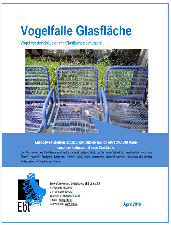 Bild_ Dokument Vogelfalle Glasfläche (mit Rand)