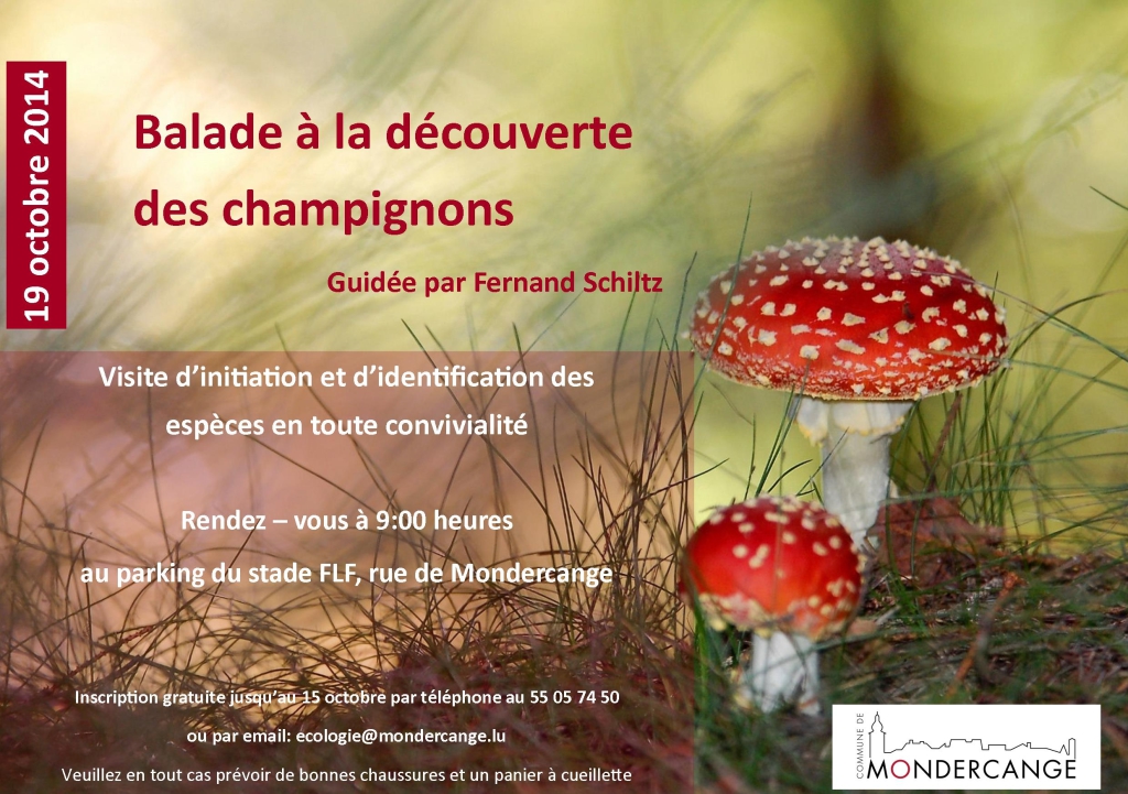 Flyer Pilztour Mondercange