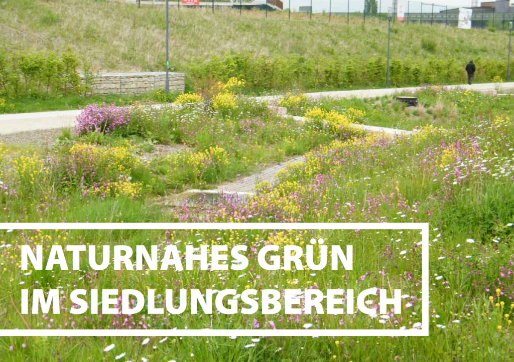 naturnahes grün im Siedlungsbereich